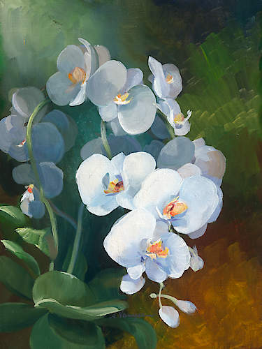 Phalaenopsis blanc von Sylvie Vernageau