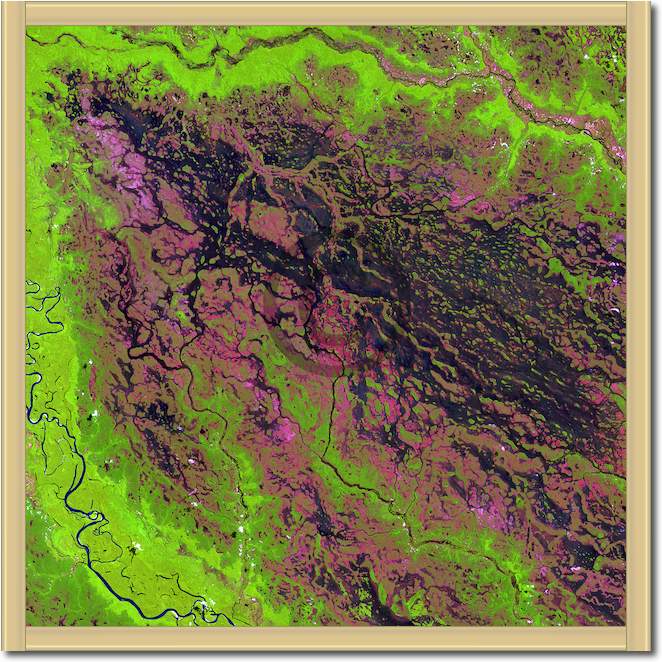Demini River von Landsat-7