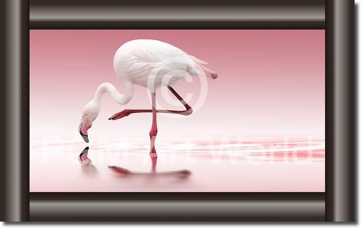 Flamingo von Doris Reindl